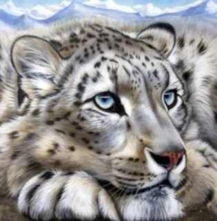 Diamond Painting Schnee Leopard